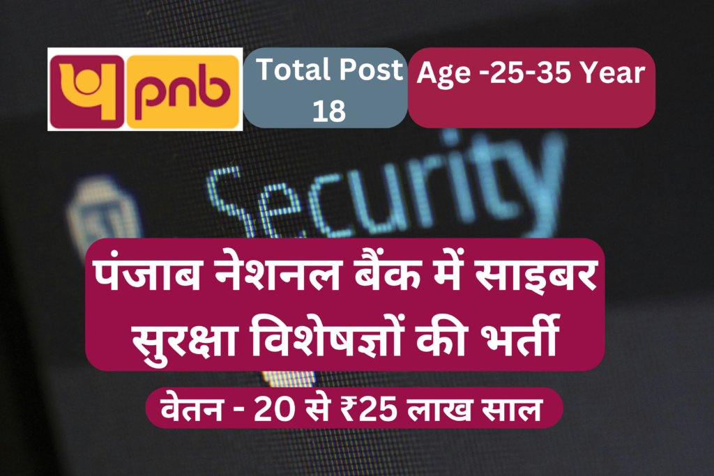 Punjab National Bank requires cyber security experts