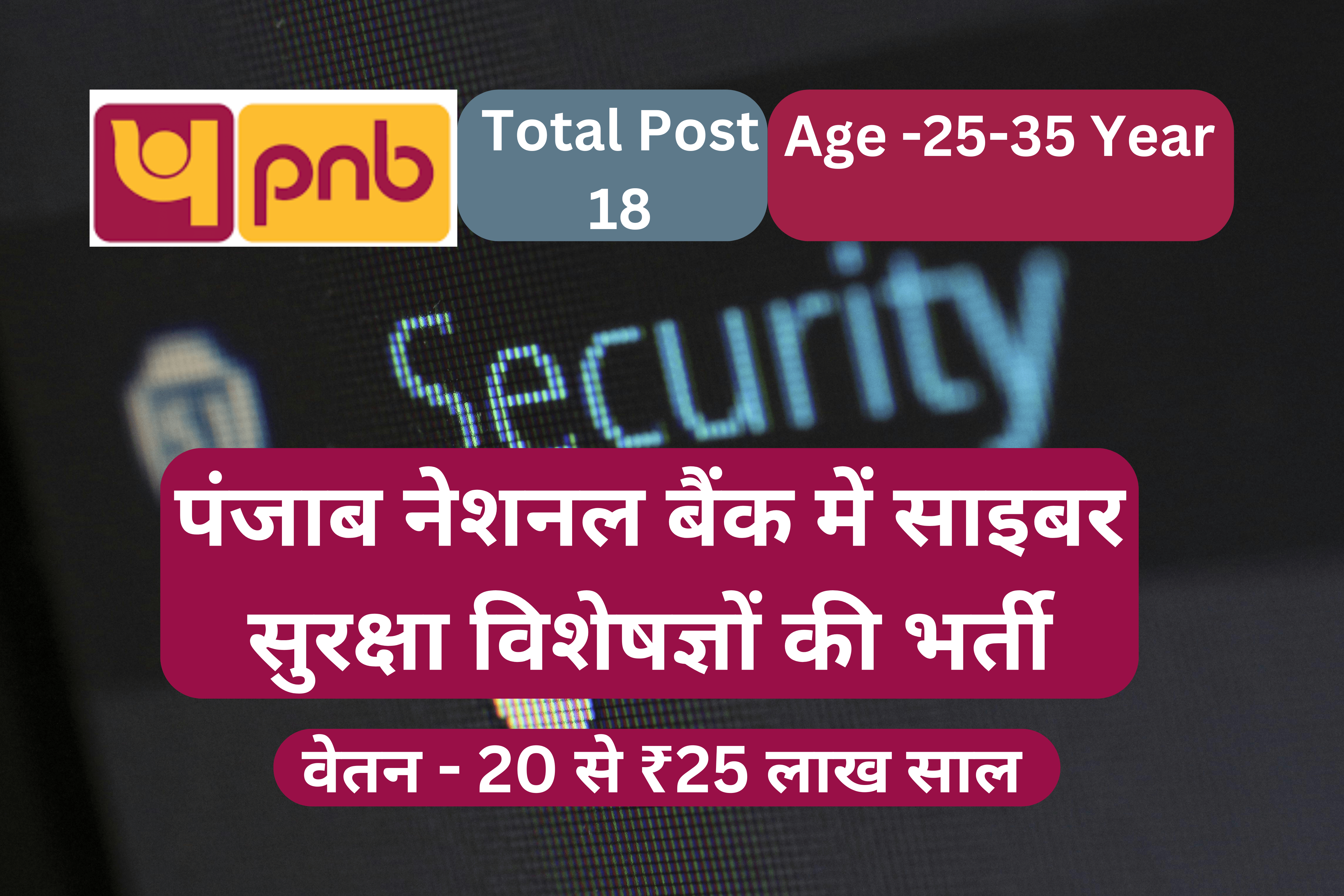 Punjab National Bank requires cyber security experts | पंजाब नेशनल बैंक में साइबर सुरक्षा विशेषज्ञों की भर्ती